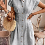 Blue Striped Button-Down Shirt Dress